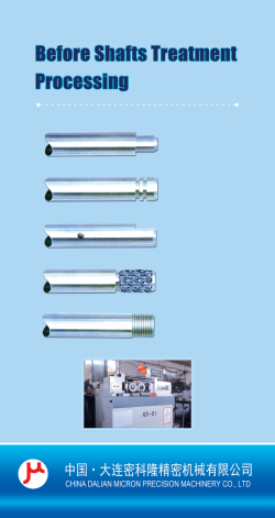 大連密科隆精密機械有限公司